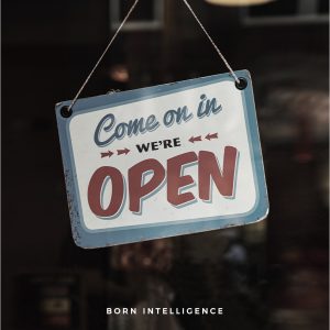 Born Intelligence, Closing down, Christmas Shutdown, shutdown christmas 2020, closing down over Christmas, closing office between christmas and new years, Christmas, 2020, holiday shutdown, company shutdown, shutting down between christmas and new year, successful new year,