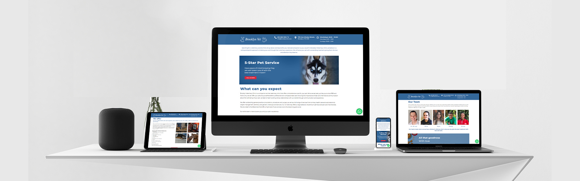 Born Intelligence Brooklyn Vet Clinic Website Revamp